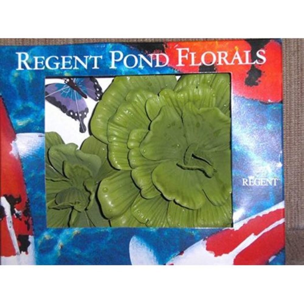REGENT POND FLORALS WATER LETTUCE